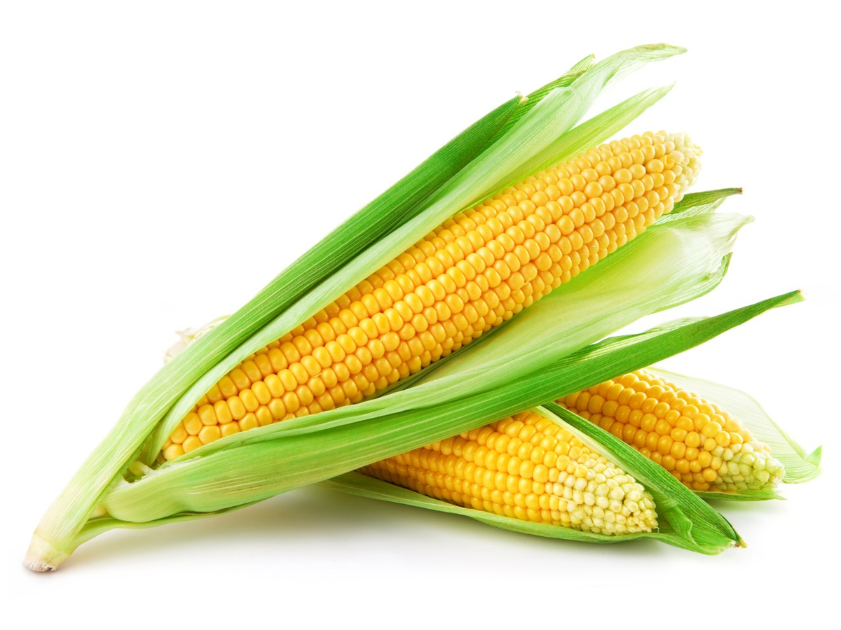 Produce - Veg - Corn